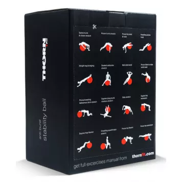 Piłka gimnastyczna 65cm z pompką THORN FIT