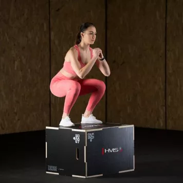 Box / Skrzynia drewniana wzmocniona PLYO BOX DSC02 HMS