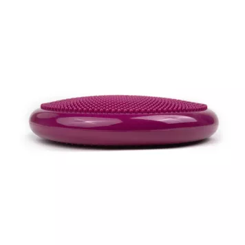 Dysk Air Disc tiguar (śliwka)