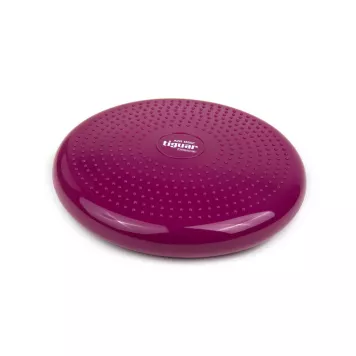 Dysk Air Disc tiguar (śliwka)